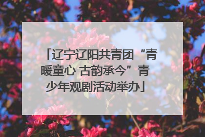 辽宁辽阳共青团“青暖童心 古韵承今”青少年观剧活动举办