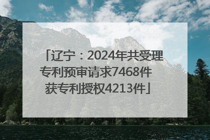 辽宁：2024年共受理专利预审请求7468件 获专利授权4213件