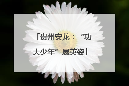 贵州安龙：“功夫少年”展英姿