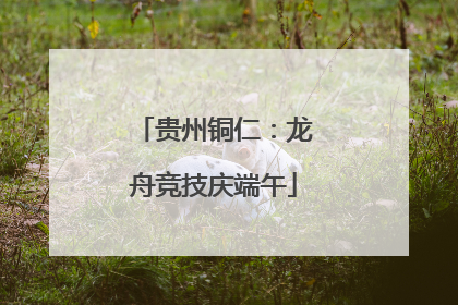 贵州铜仁：龙舟竞技庆端午
