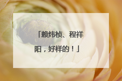 赖炜桢、程祥阳，好样的！