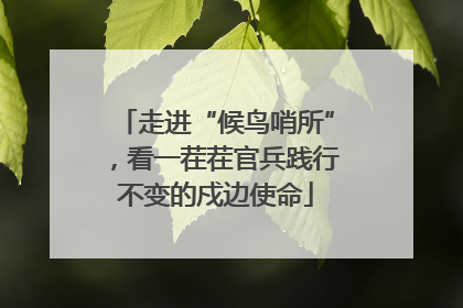 走进“候鸟哨所”，看一茬茬官兵践行不变的戍边使命