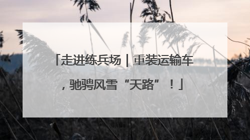 走进练兵场｜重装运输车，驰骋风雪“天路”！