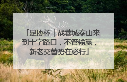 足协杯|战蓉城泰山来到十字路口,不管输赢,新老交替势在必行