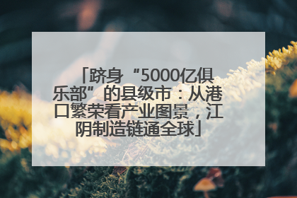 跻身“5000亿俱乐部”的县级市：从港口繁荣看产业图景，江阴制造链通全球