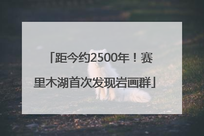 距今约2500年！赛里木湖首次发现岩画群