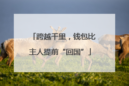 跨越千里，钱包比主人提前“回国”
