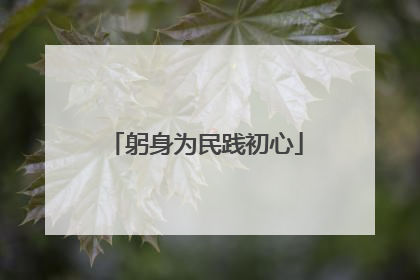 躬身为民践初心