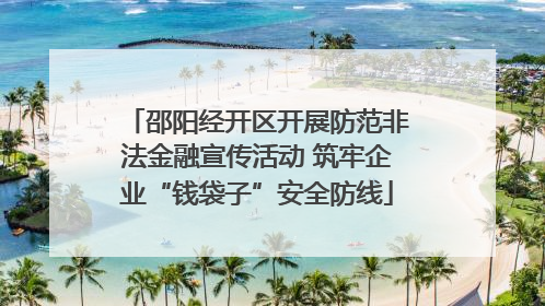 邵阳经开区开展防范非法金融宣传活动 筑牢企业“钱袋子”安全防线