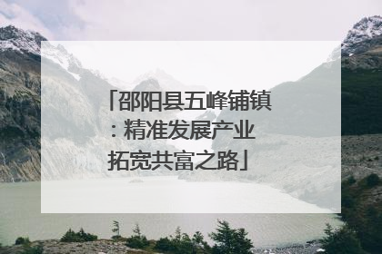 邵阳县五峰铺镇：精准发展产业 拓宽共富之路