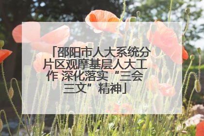 邵阳市人大系统分片区观摩基层人大工作 深化落实“三会三文”精神
