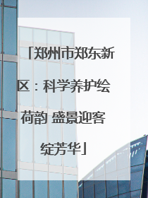 郑州市郑东新区：科学养护绘荷韵 盛景迎客绽芳华
