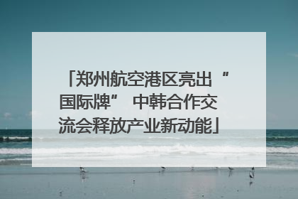 郑州航空港区亮出“国际牌” 中韩合作交流会释放产业新动能