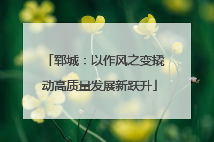 郓城：以作风之变撬动高质量发展新跃升