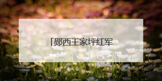 郧西王家坪红军小学举行一年级新队员入队仪式