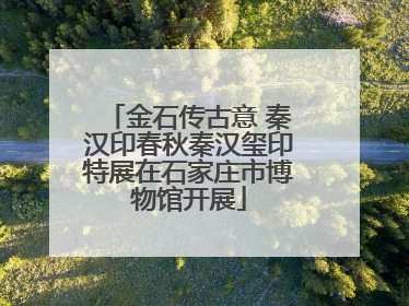 金石传古意 秦汉印春秋秦汉玺印特展在石家庄市博物馆开展