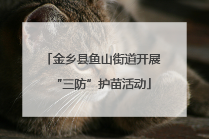 金乡县鱼山街道开展“三防”护苗活动