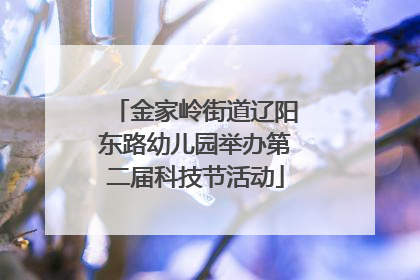 金家岭街道辽阳东路幼儿园举办第二届科技节活动