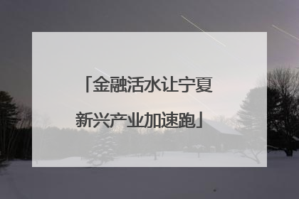 金融活水让宁夏新兴产业加速跑