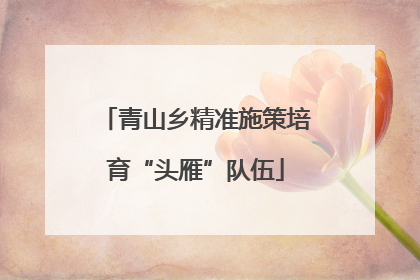 青山乡精准施策培育“头雁”队伍