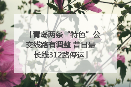 青岛两条“特色”公交线路有调整 昔日最长线312路停运