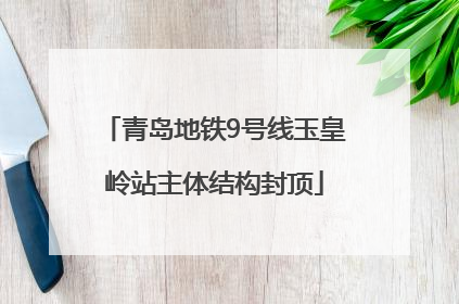 青岛地铁9号线玉皇岭站主体结构封顶