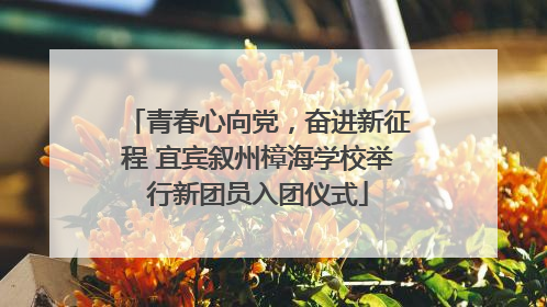 青春心向党，奋进新征程 宜宾叙州樟海学校举行新团员入团仪式