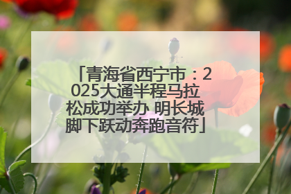 青海省西宁市：2025大通半程马拉松成功举办 明长城脚下跃动奔跑音符