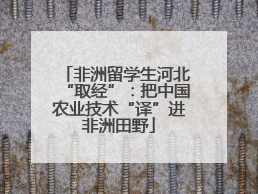 非洲留学生河北“取经”：把中国农业技术“译”进非洲田野