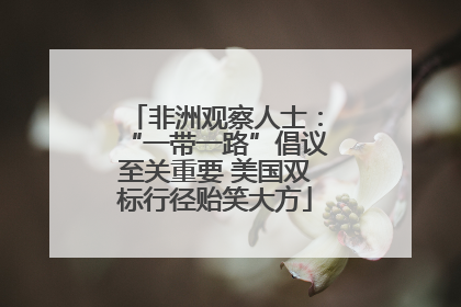 非洲观察人士：“一带一路”倡议至关重要 美国双标行径贻笑大方