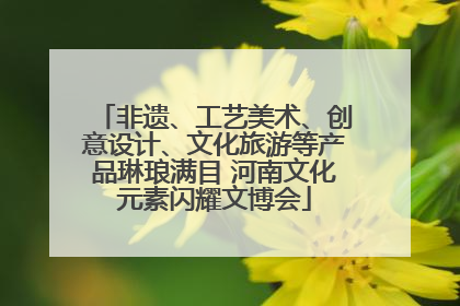 非遗、工艺美术、创意设计、文化旅游等产品琳琅满目 河南文化元素闪耀文博会
