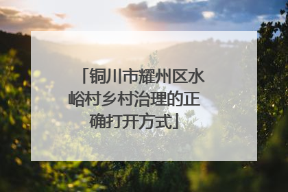 铜川市耀州区水峪村乡村治理的正确打开方式