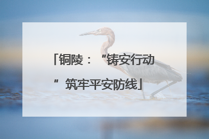 铜陵：“铸安行动”筑牢平安防线