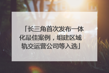 长三角首次发布一体化最佳案例，组建区域轨交运营公司等入选