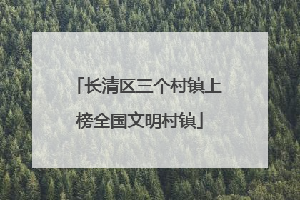 长清区三个村镇上榜全国文明村镇
