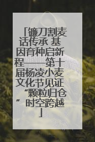 镰刀割麦话传承 基因育种启新程——第十届杨凌小麦文化节见证“颗粒归仓”时空跨越