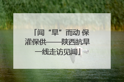 闻“旱”而动 保灌保供——陕西抗旱一线走访见闻