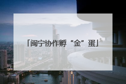 闽宁协作孵“金”蛋