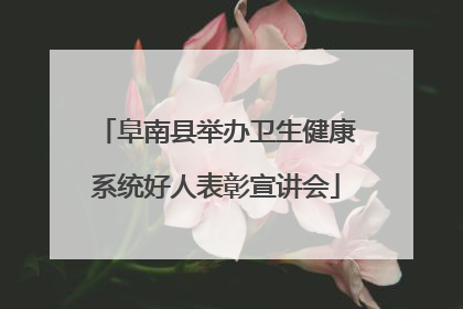 阜南县举办卫生健康系统好人表彰宣讲会