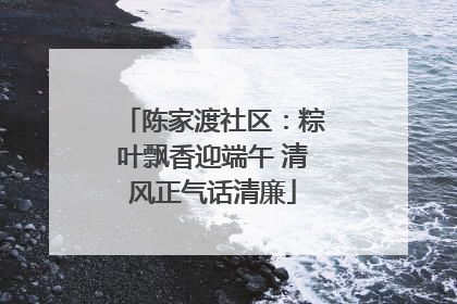 陈家渡社区：粽叶飘香迎端午 清风正气话清廉