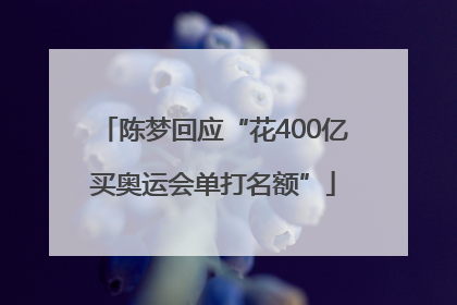 陈梦回应“花400亿买奥运会单打名额”