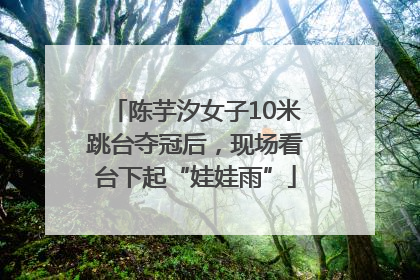 陈芋汐女子10米跳台夺冠后，现场看台下起“娃娃雨”