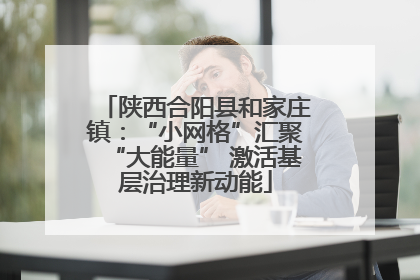 陕西合阳县和家庄镇：“小网格”汇聚“大能量” 激活基层治理新动能