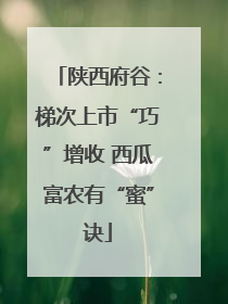 陕西府谷：梯次上市“巧”增收 西瓜富农有“蜜”诀