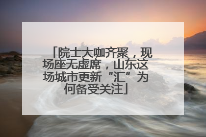 院士大咖齐聚，现场座无虚席，山东这场城市更新“汇”为何备受关注