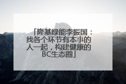 隆基绿能李振国：找各个环节有本事的人一起，构建健康的BC生态圈