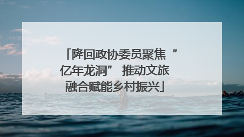 隆回政协委员聚焦“亿年龙洞” 推动文旅融合赋能乡村振兴