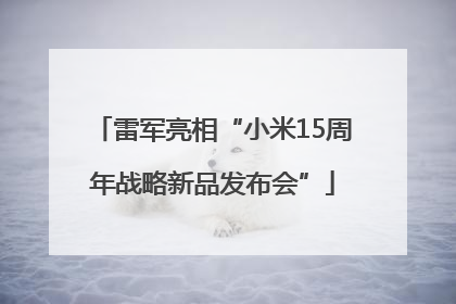 雷军亮相“小米15周年战略新品发布会”