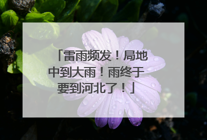 雷雨频发！局地中到大雨！雨终于要到河北了！