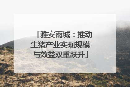 雅安雨城：推动生猪产业实现规模与效益双重跃升